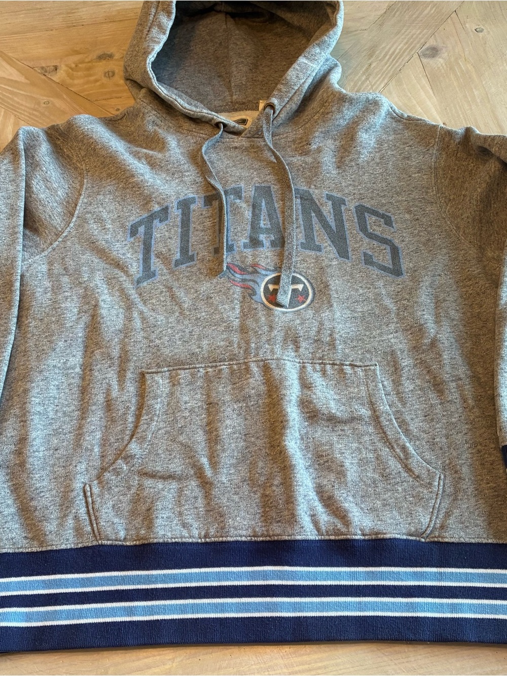 Titans Gray Hooded Men's Sweater